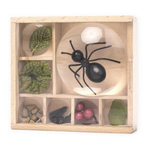 Magnifying Bug Box
