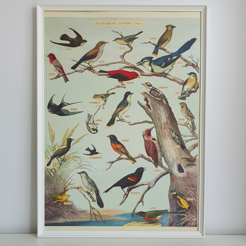 Audubon Bird Chart