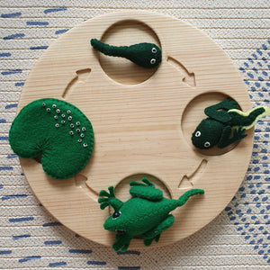 Life Cycles Felt Set (Butterfly, Turtle, Frog, Bean)