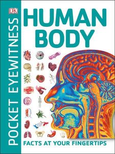 All About The Human Body (Book + Playset)